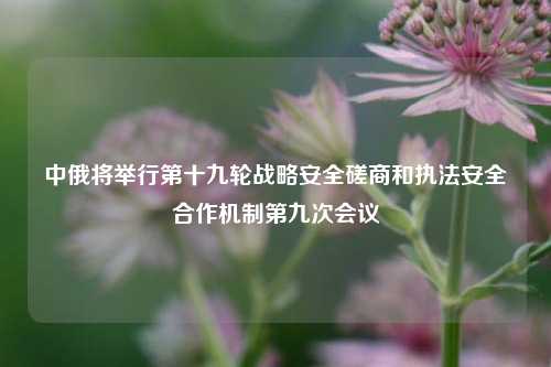 中俄将举行第十九轮战略安全磋商和执法安全合作机制第九次会议