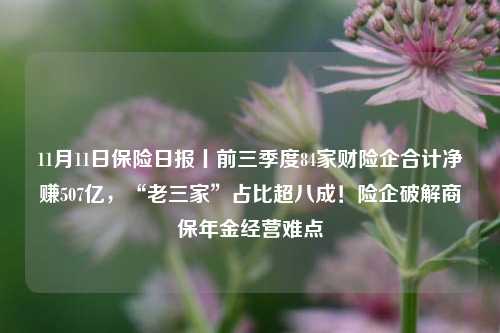 11月11日保险日报丨前三季度84家财险企合计净赚507亿，“老三家”占比超八成！险企破解商保年金经营难点