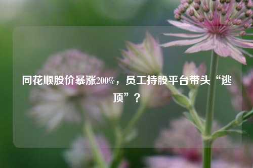 同花顺股价暴涨200%，员工持股平台带头“逃顶”？