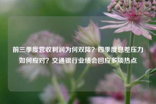 前三季度营收利润为何双降？四季度息差压力如何应对？交通银行业绩会回应多项热点