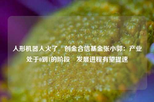 人形机器人火了 创金合信基金张小郭：产业处于0到1的阶段 发展进程有望提速