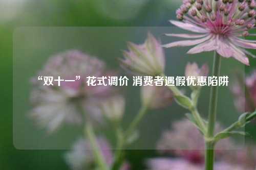 “双十一”花式调价 消费者遇假优惠陷阱