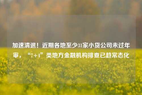 加速清退！近期各地至少31家小贷公司未过年审，“7+4”类地方金融机构排查已趋常态化