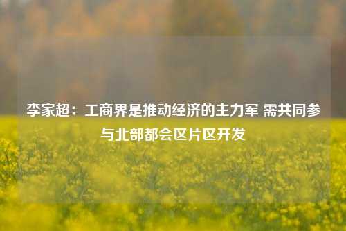 李家超：工商界是推动经济的主力军 需共同参与北部都会区片区开发