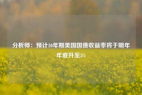 分析师：预计10年期美国国债收益率将于明年年底升至5%