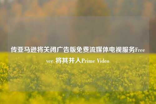 传亚马逊将关闭广告版免费流媒体电视服务Freevee 将其并入Prime Video