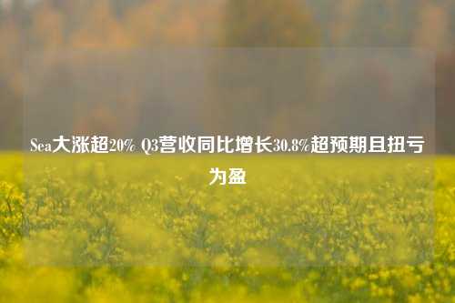 Sea大涨超20% Q3营收同比增长30.8%超预期且扭亏为盈