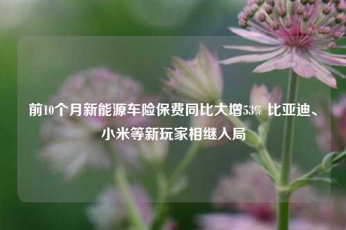 前10个月新能源车险保费同比大增53% 比亚迪、小米等新玩家相继入局