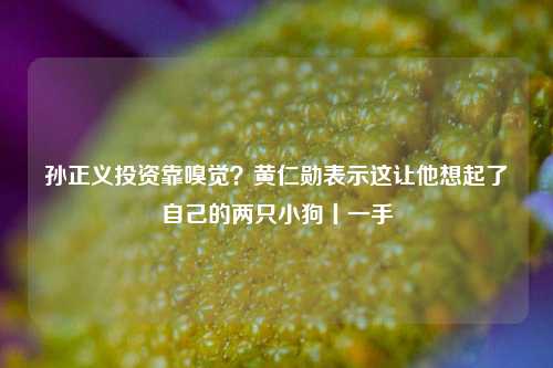 孙正义投资靠嗅觉？黄仁勋表示这让他想起了自己的两只小狗丨一手