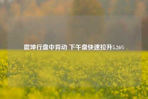 震坤行盘中异动 下午盘快速拉升5.26%