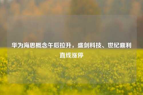 华为海思概念午后拉升，盛剑科技、世纪鼎利直线涨停