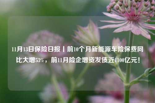 11月13日保险日报丨前10个月新能源车险保费同比大增53%，前11月险企增资发债近1100亿元！