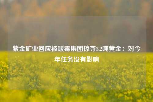 紫金矿业回应被贩毒集团掠夺3.2吨黄金：对今年任务没有影响