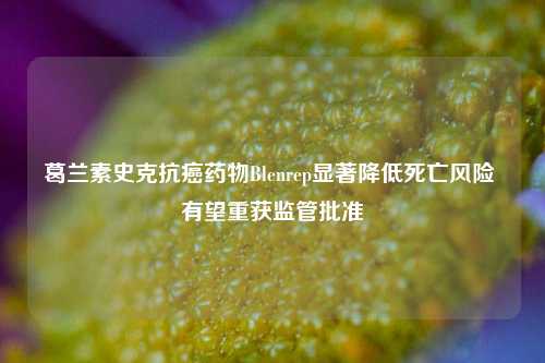 葛兰素史克抗癌药物Blenrep显著降低死亡风险 有望重获监管批准