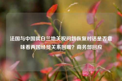 法国与中国就白兰地关税问题恢复对话是否意味着两国经贸关系回暖？商务部回应