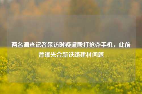 两名调查记者采访时疑遭殴打抢夺手机，此前曾曝光合新铁路建材问题