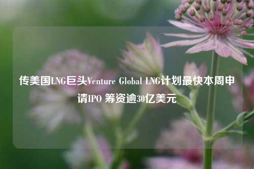 传美国LNG巨头Venture Global LNG计划最快本周申请IPO 筹资逾30亿美元