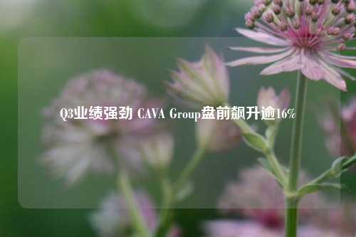 Q3业绩强劲 CAVA Group盘前飙升逾16%