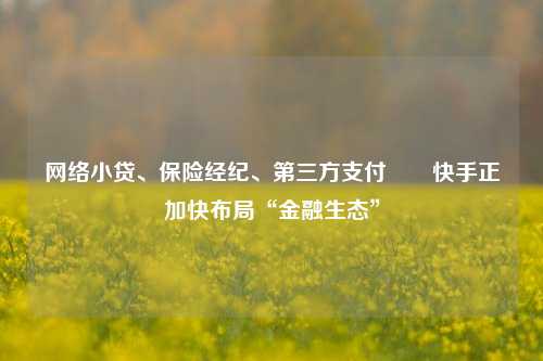 网络小贷、保险经纪、第三方支付⋯⋯快手正加快布局“金融生态”