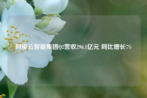 阿里云智能集团Q2营收296.1亿元 同比增长7%