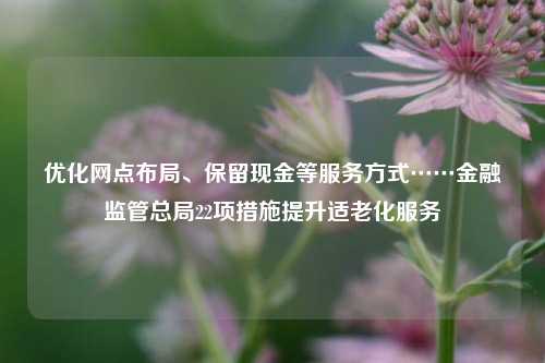 优化网点布局、保留现金等服务方式……金融监管总局22项措施提升适老化服务