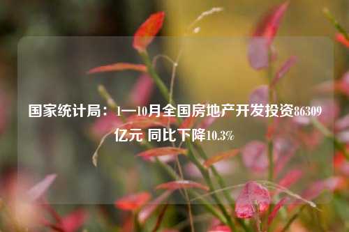 国家统计局：1—10月全国房地产开发投资86309亿元 同比下降10.3%