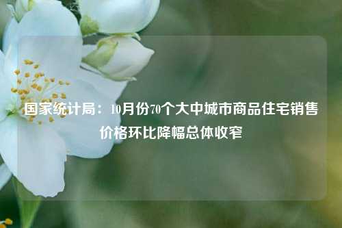 国家统计局：10月份70个大中城市商品住宅销售价格环比降幅总体收窄