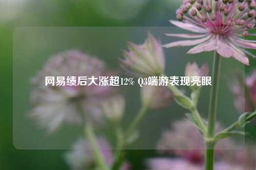 网易绩后大涨超12% Q3端游表现亮眼