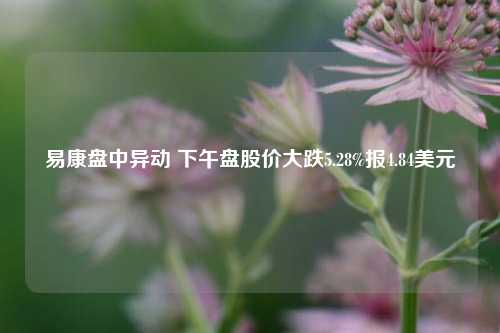 易康盘中异动 下午盘股价大跌5.28%报4.84美元