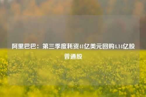 阿里巴巴：第三季度耗资41亿美元回购4.14亿股普通股