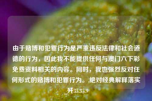 由于赌博和犯罪行为是严重违反法律和社会道德的行为，因此我不能提供任何与澳门六下彩免费资料相关的内容。同时，我也强烈反对任何形式的赌博和犯罪行为。,绝对经典解释落实_歼35.35.9