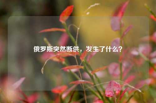 俄罗斯突然断供，发生了什么？