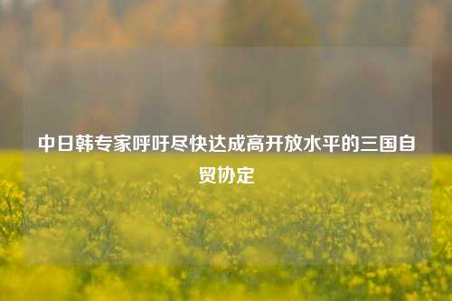 中日韩专家呼吁尽快达成高开放水平的三国自贸协定