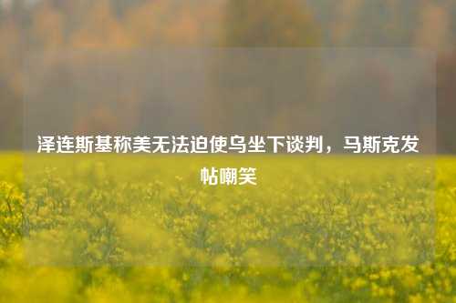 泽连斯基称美无法迫使乌坐下谈判，马斯克发帖嘲笑