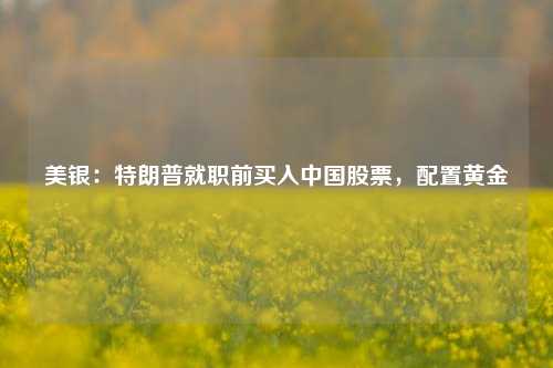 美银：特朗普就职前买入中国股票，配置黄金