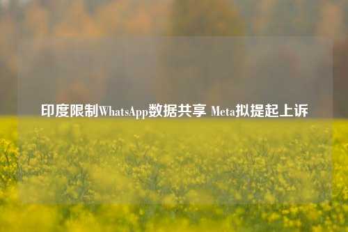 印度限制WhatsApp数据共享 Meta拟提起上诉