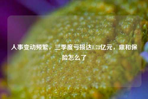 人事变动频繁，三季度亏损达1.73亿元，鼎和保险怎么了