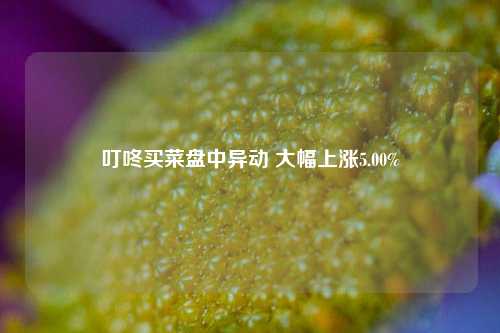 叮咚买菜盘中异动 大幅上涨5.00%