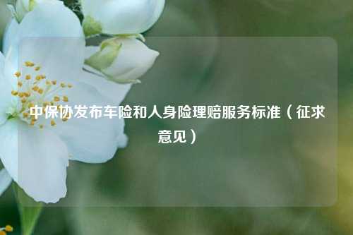 中保协发布车险和人身险理赔服务标准（征求意见）