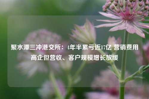 聚水潭三冲港交所：4年半累亏近17亿 营销费用高企但营收、客户规模增长放缓