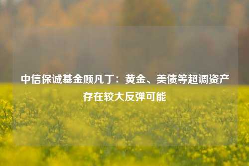 中信保诚基金顾凡丁：黄金、美债等超调资产存在较大反弹可能