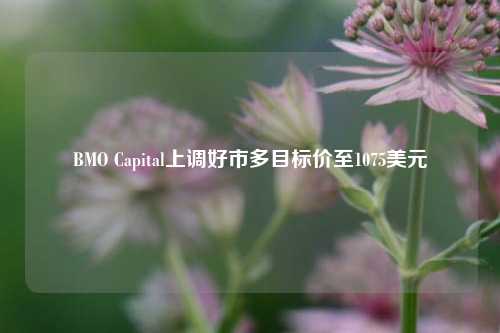 BMO Capital上调好市多目标价至1075美元