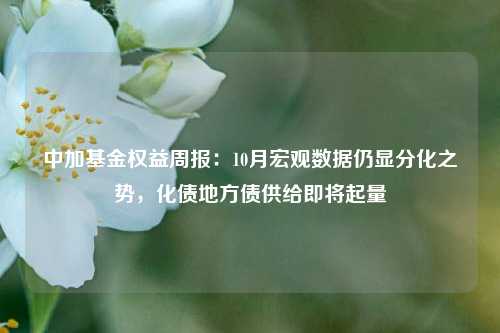 中加基金权益周报：10月宏观数据仍显分化之势，化债地方债供给即将起量