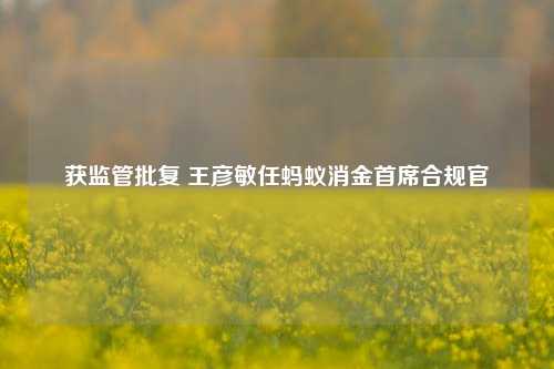 获监管批复 王彦敏任蚂蚁消金首席合规官