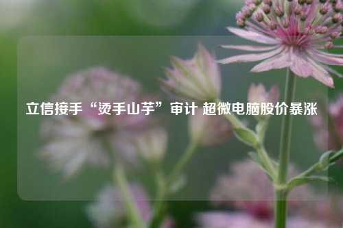 立信接手“烫手山芋”审计 超微电脑股价暴涨