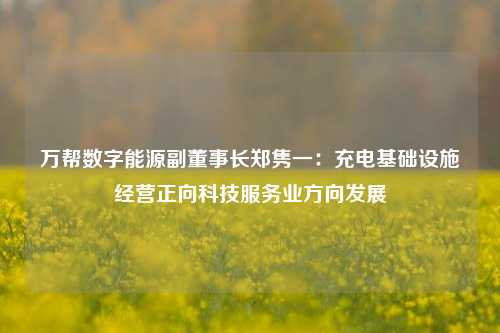 万帮数字能源副董事长郑隽一：充电基础设施经营正向科技服务业方向发展