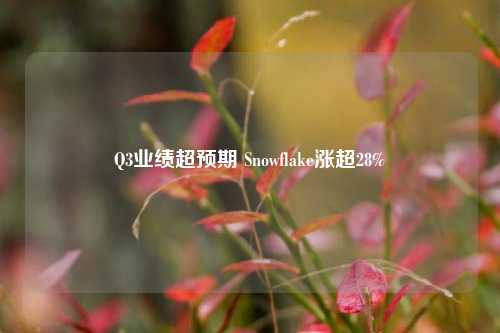 Q3业绩超预期 Snowflake涨超28%