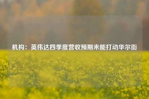 机构：英伟达四季度营收预期未能打动华尔街