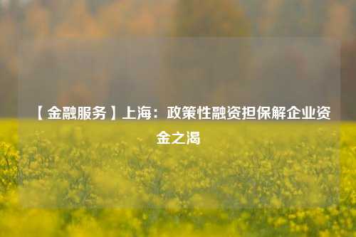 【金融服务】上海：政策性融资担保解企业资金之渴