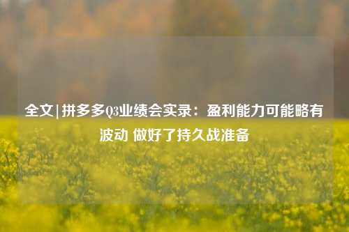 全文|拼多多Q3业绩会实录：盈利能力可能略有波动 做好了持久战准备